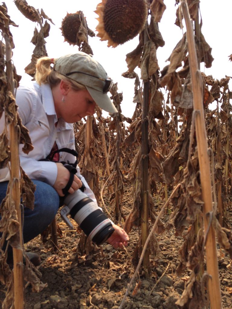 Ecologist Dr. Sara M. Kross. Photo © Ben Young Landis. 