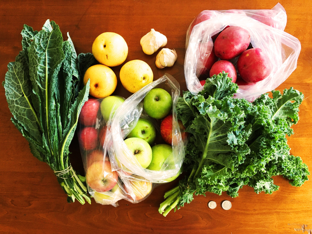 Items bought for under $10 at the Sacramento Central Farmers Market. Photo © Ben Young Landis