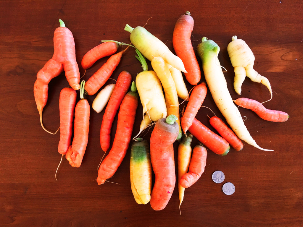 Items bought for under $10 at the Sacramento Central Farmers Market. Photo © Ben Young Landis